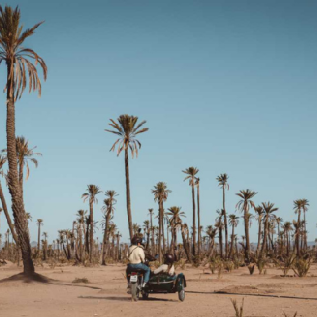 Séjour de luxe et Aventure en Side Car